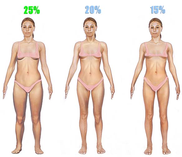 Body Mass Index Body Fat 47